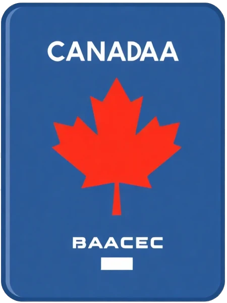 Immigration Services Icon